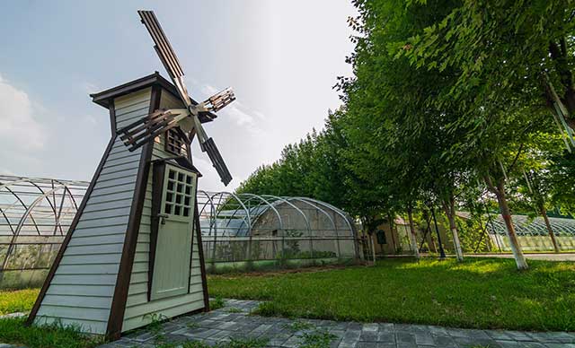 西安市·周至县·萌梅子庄园营地